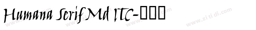 Humana Serif Md ITC字体转换